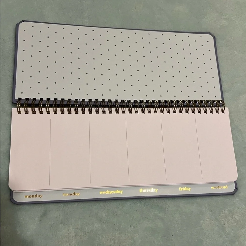 Blue Weekly Planner